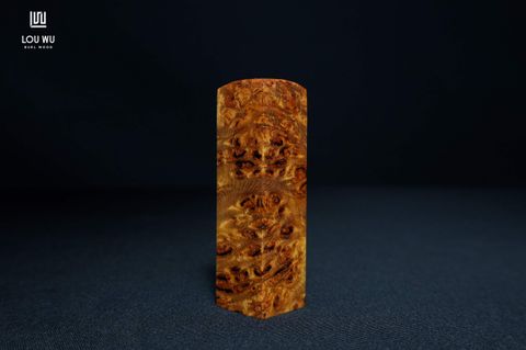 DSC05501