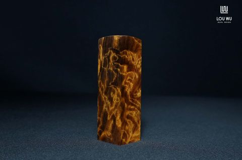 DSC01996
