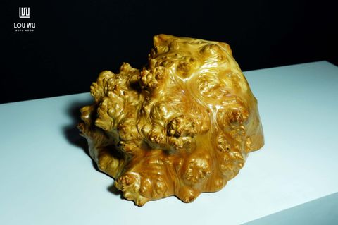 DSC02415