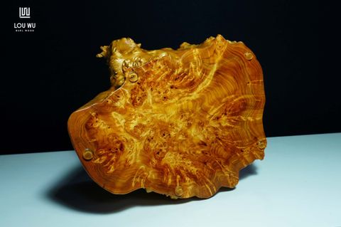 DSC02425