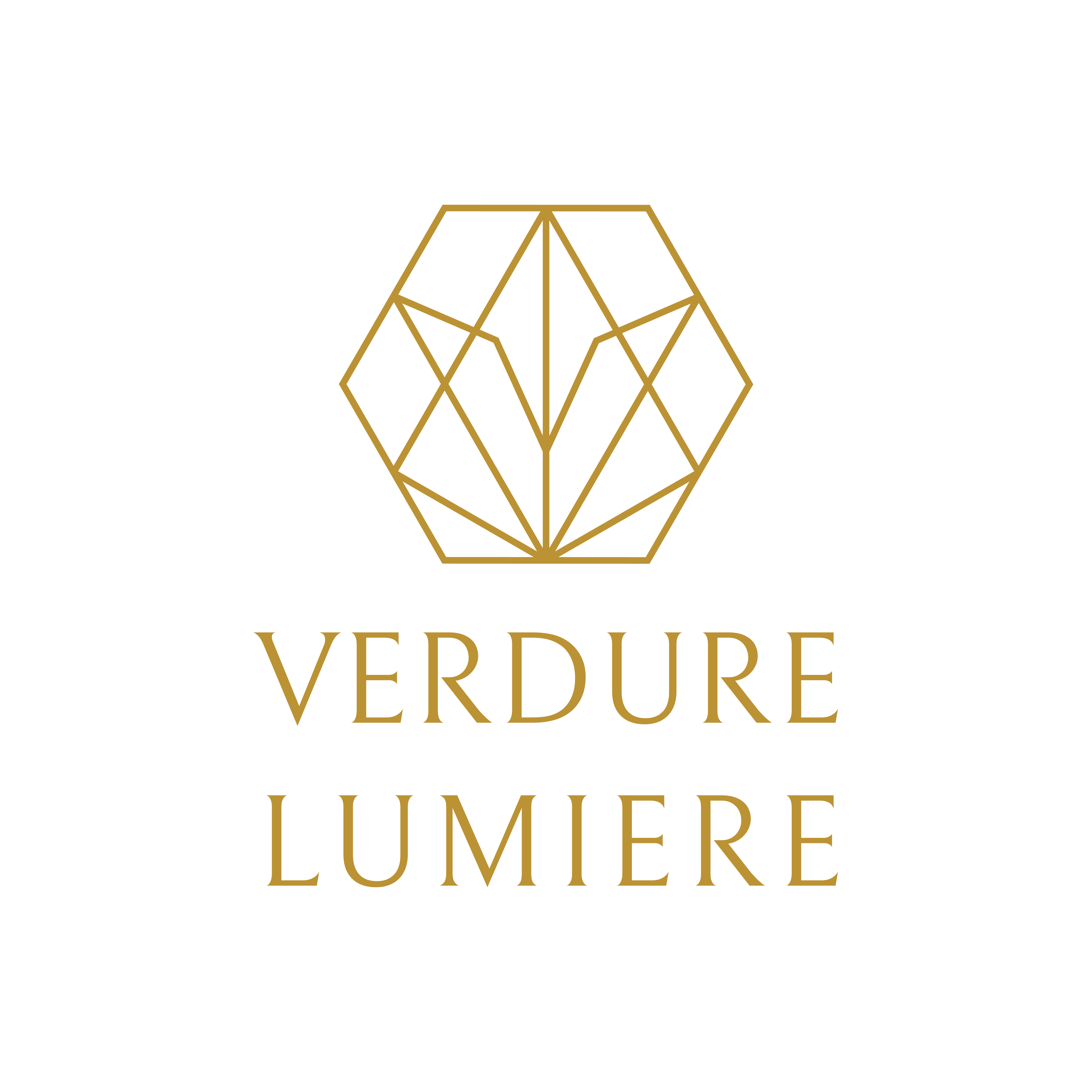 Verdure Lumiere Logo