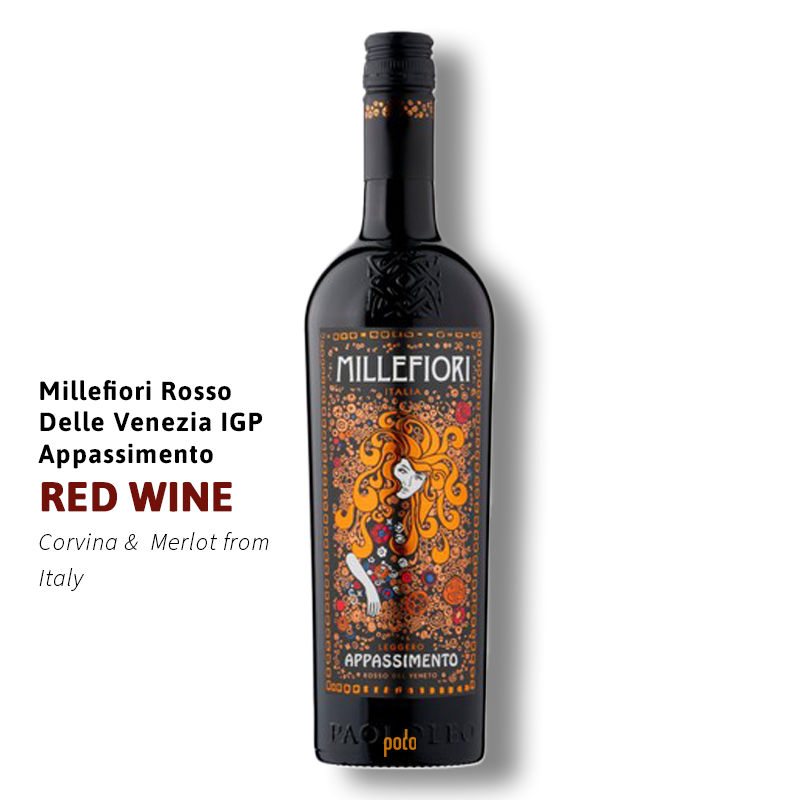 website main image 800 (1)