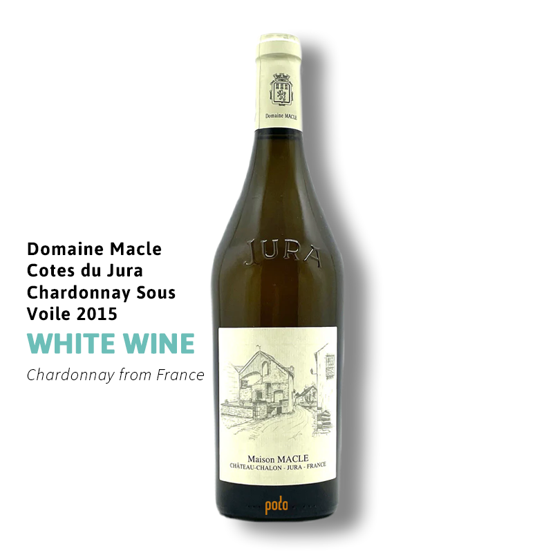 website main image 800 (1)