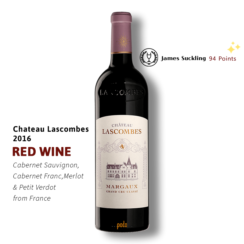website main image 800 (1)