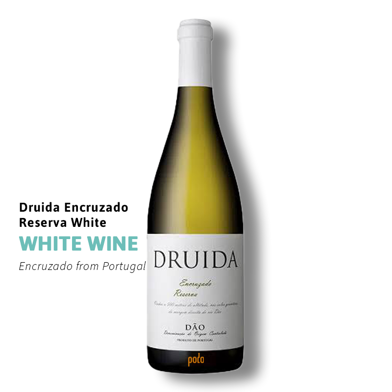 druida