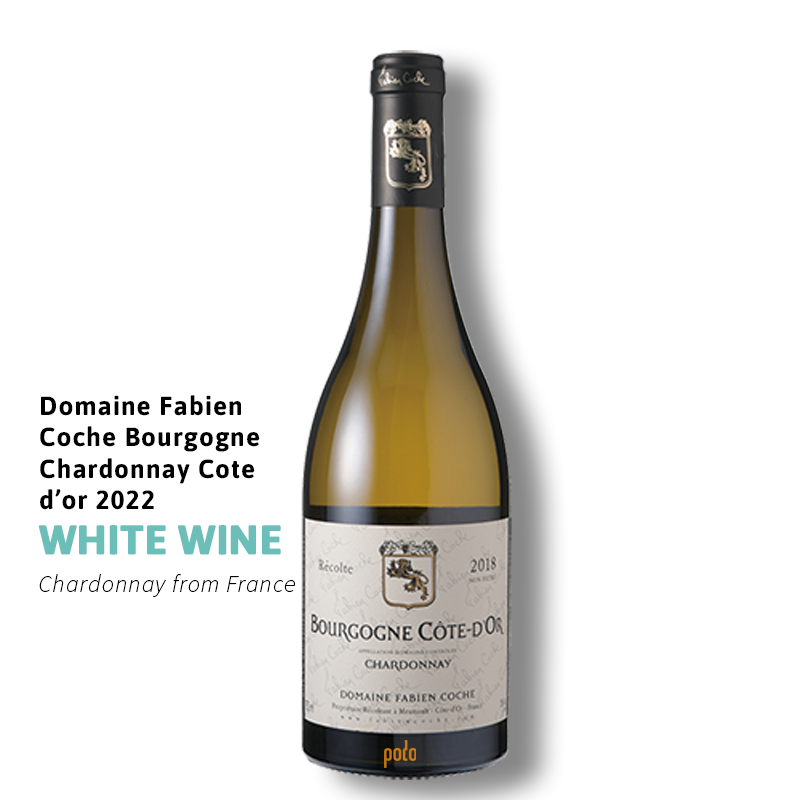 coche chardonnay_