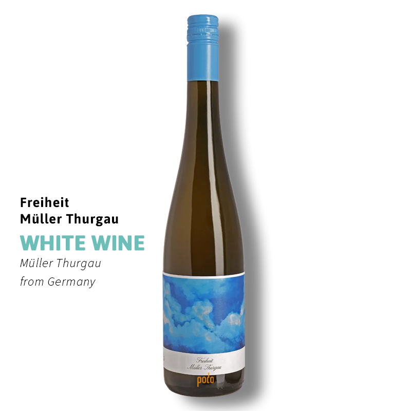 website main image 800 (1)