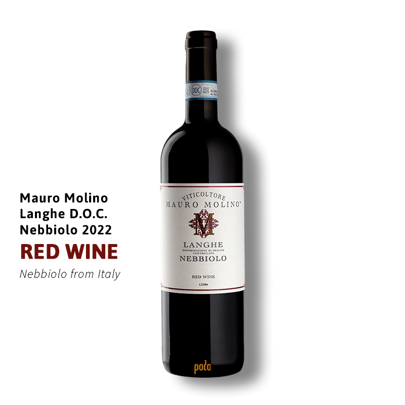 website main image 800 (1)