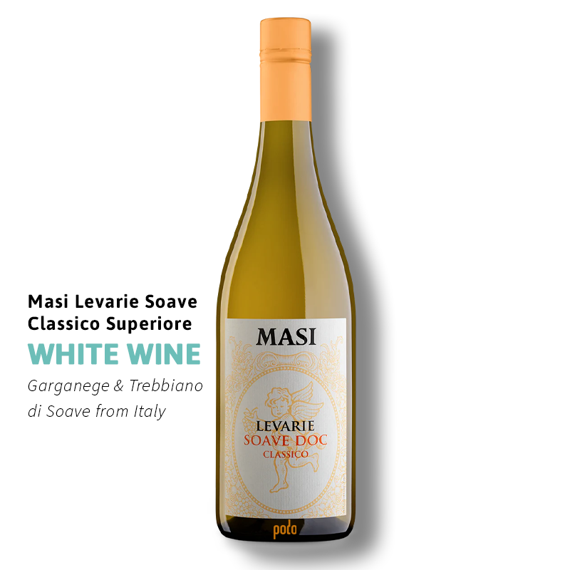 website main image 800 (1)