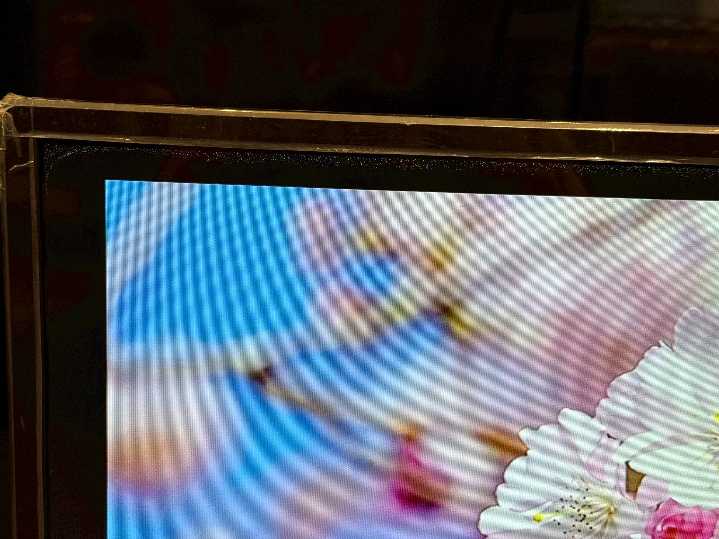 LINE_ALBUM_20251124 _1_251124_9