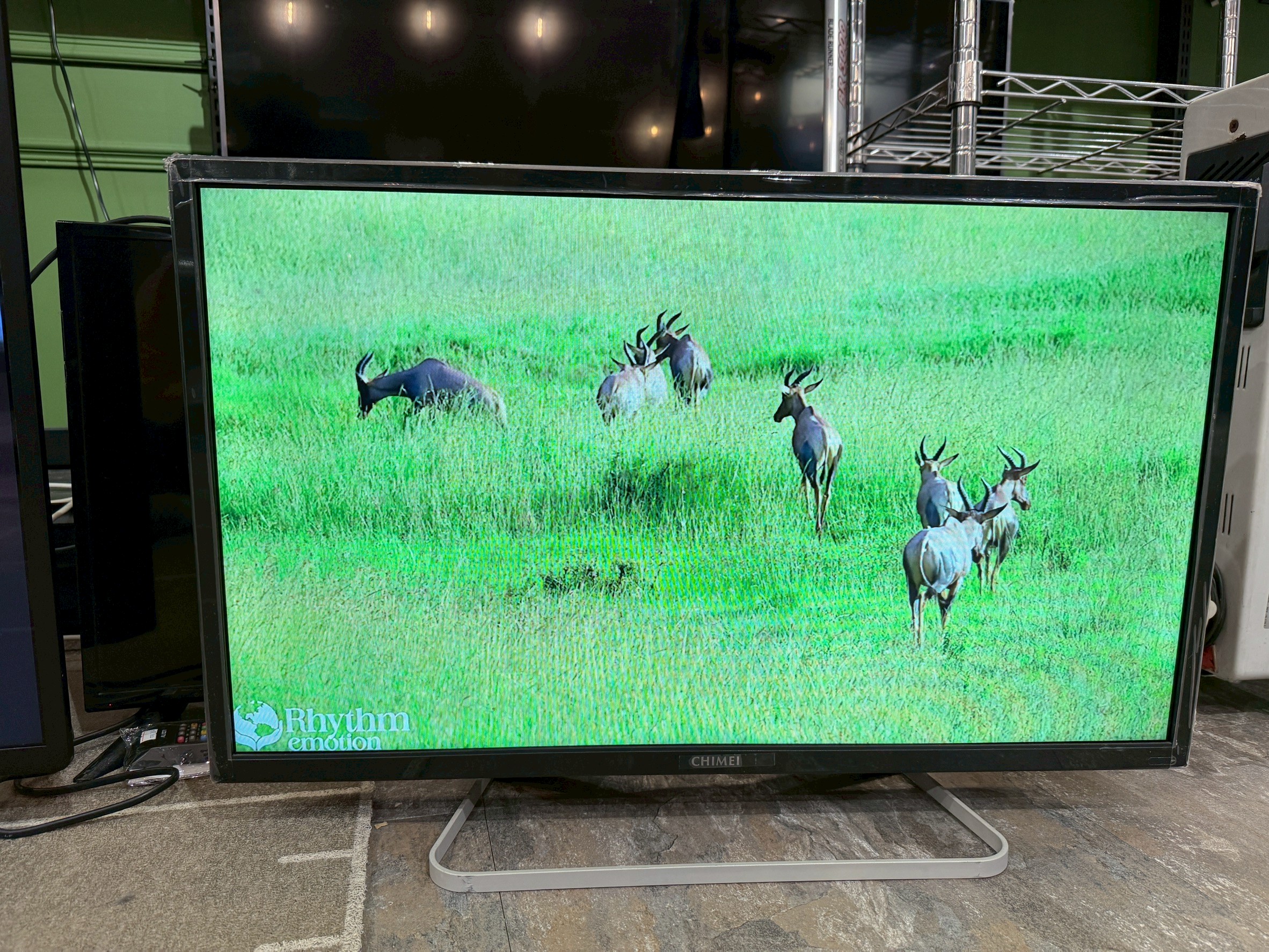 LINE_ALBUM_20251124 _1_251124_5