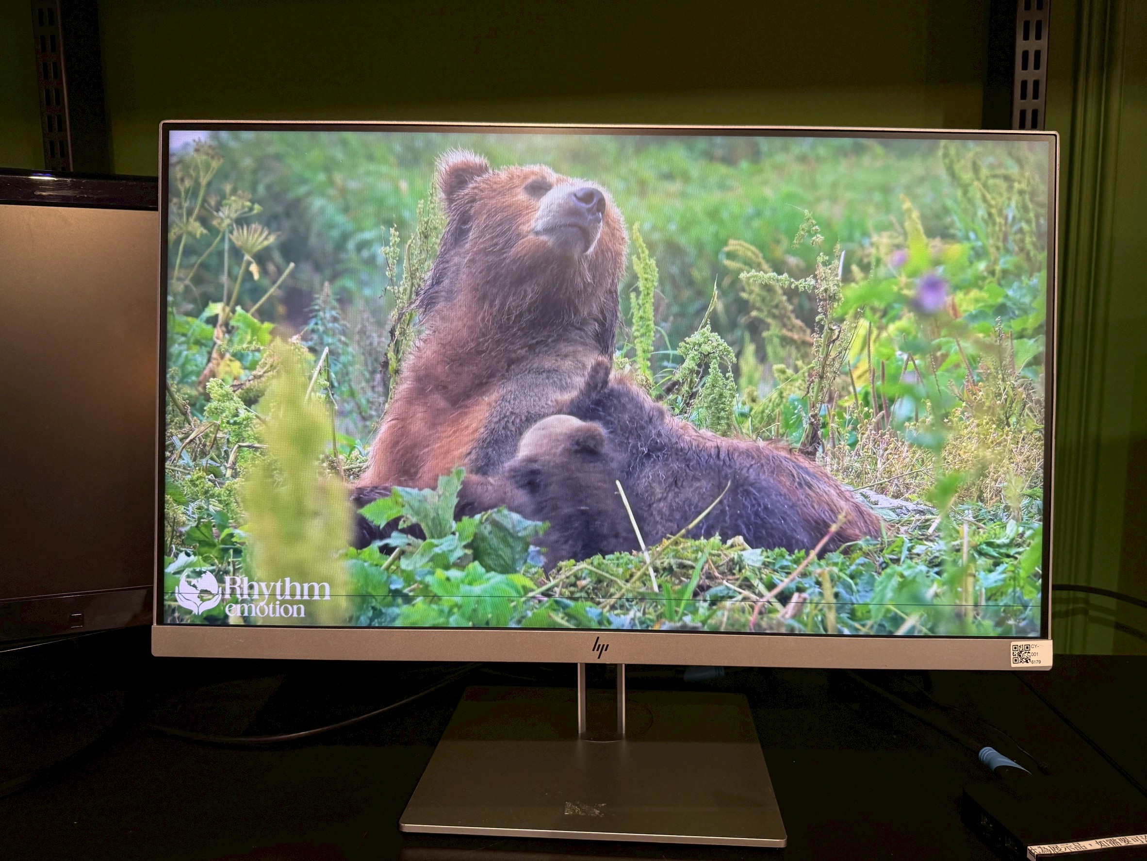 LINE_ALBUM_2025122_251202_2