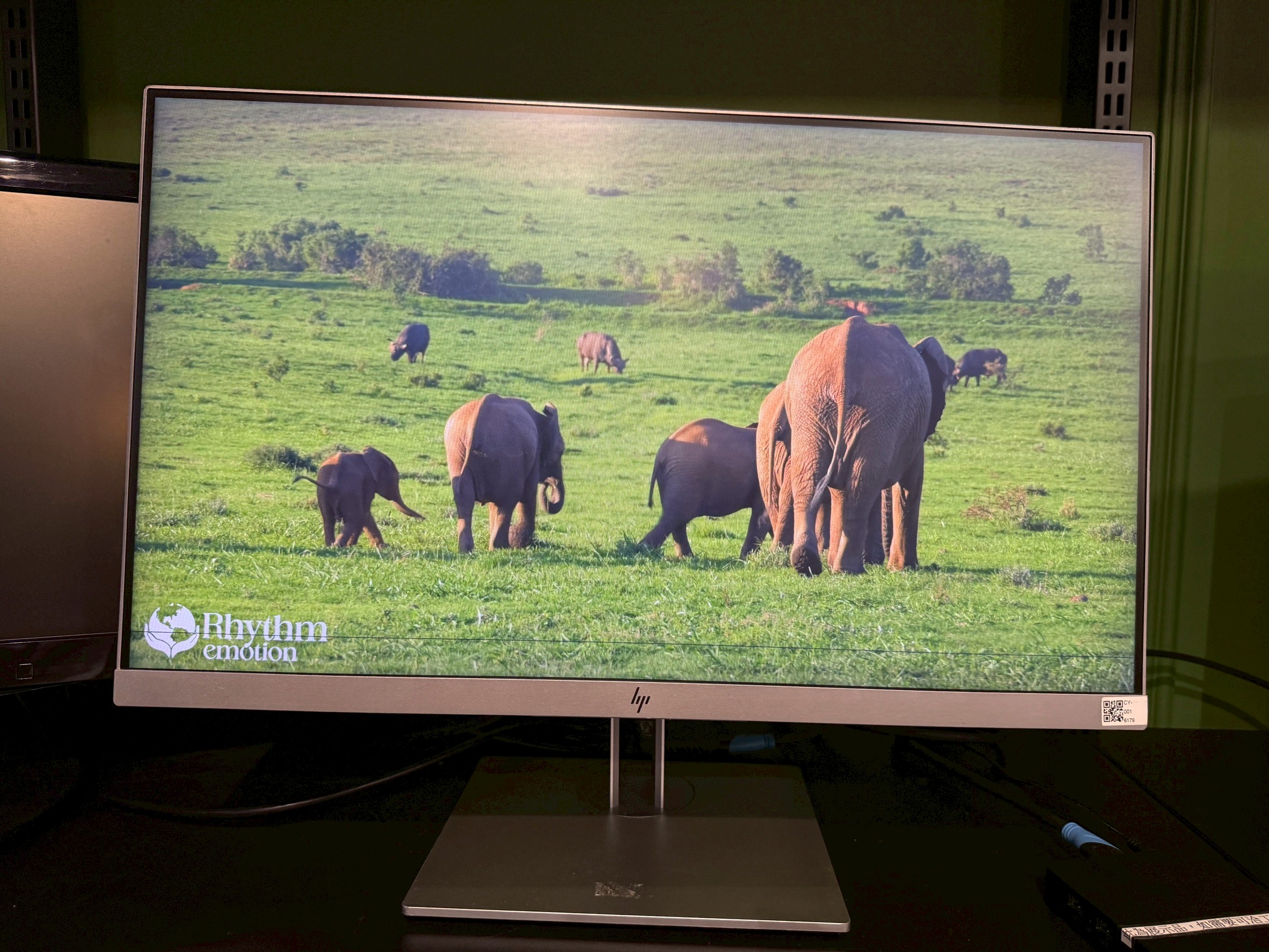 LINE_ALBUM_2025122_251202_1