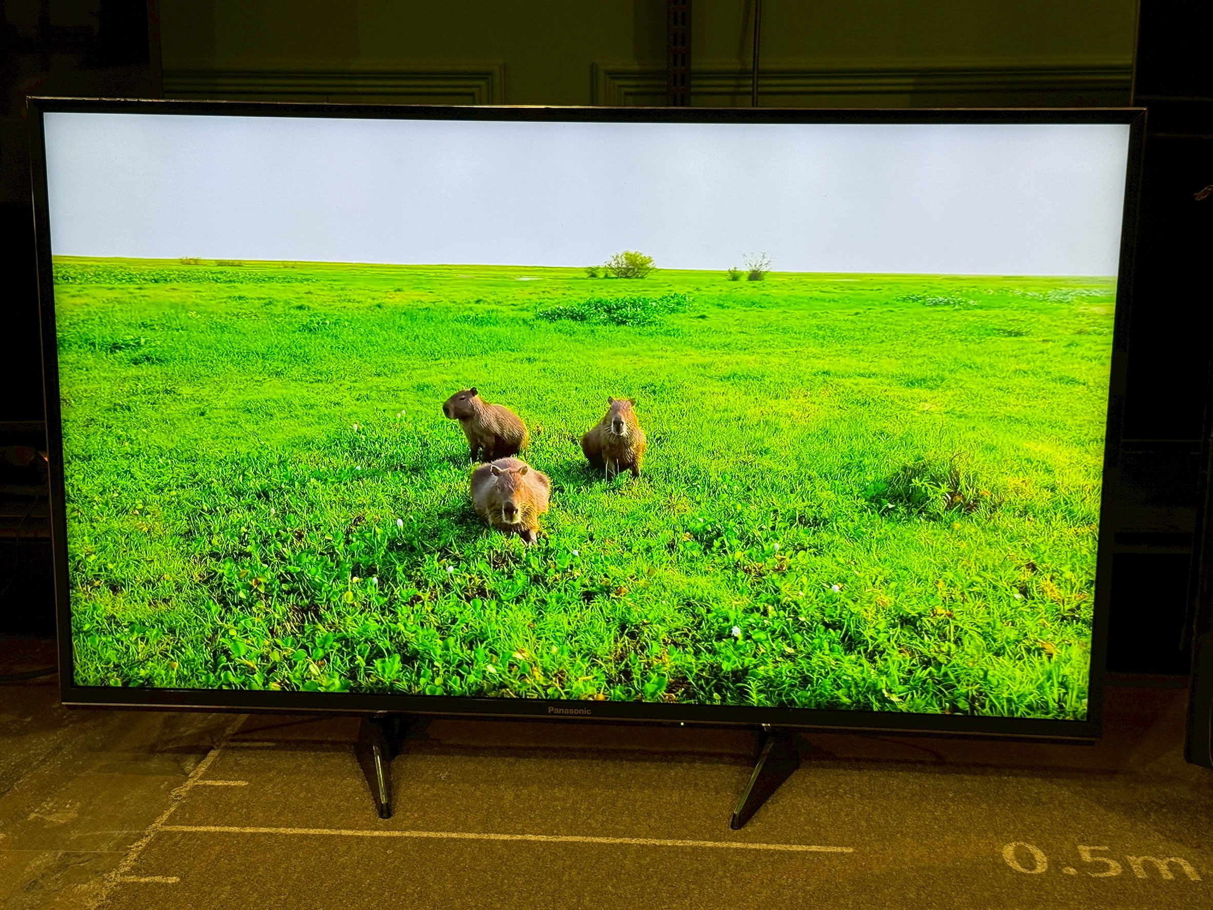 LINE_ALBUM_2026323_260323_25