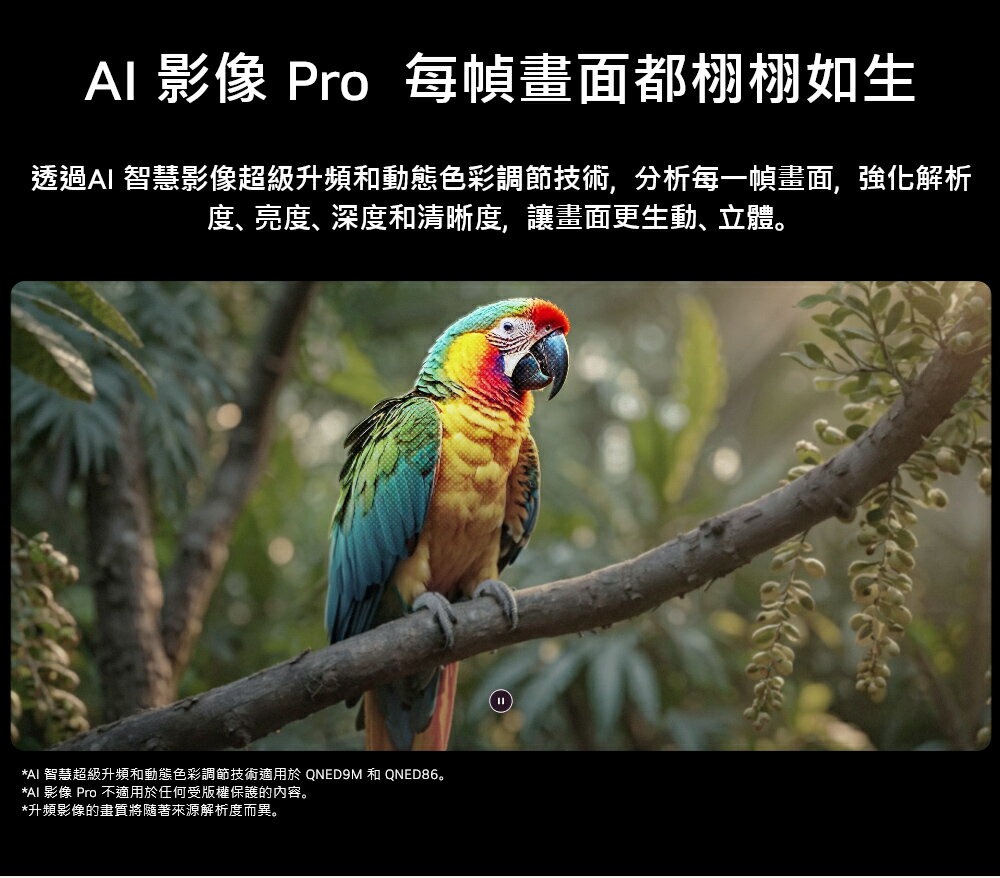 imgi_29_46ca98b1ef0d67856c3805