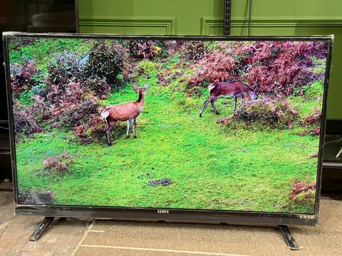 LINE_ALBUM_2026323_260323_12