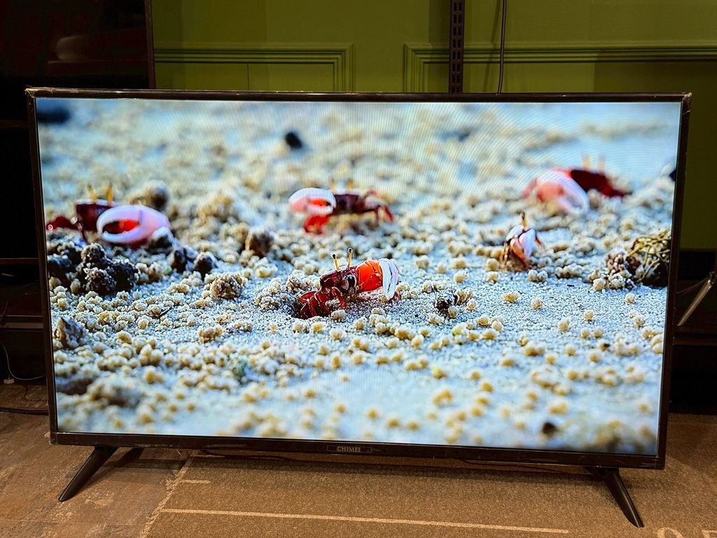 LINE_ALBUM_2026323_260323_18