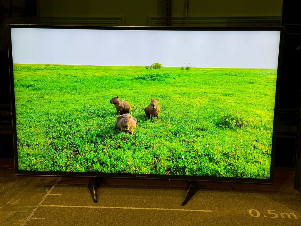 LINE_ALBUM_2026323_260323_25