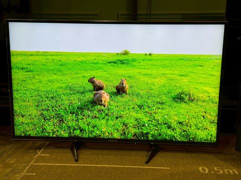 LINE_ALBUM_2026323_260323_25