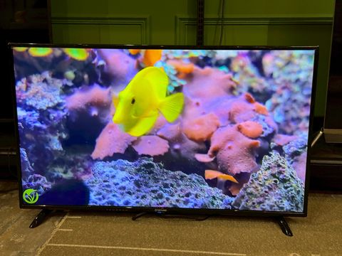 LINE_ALBUM_2026323_260323_1