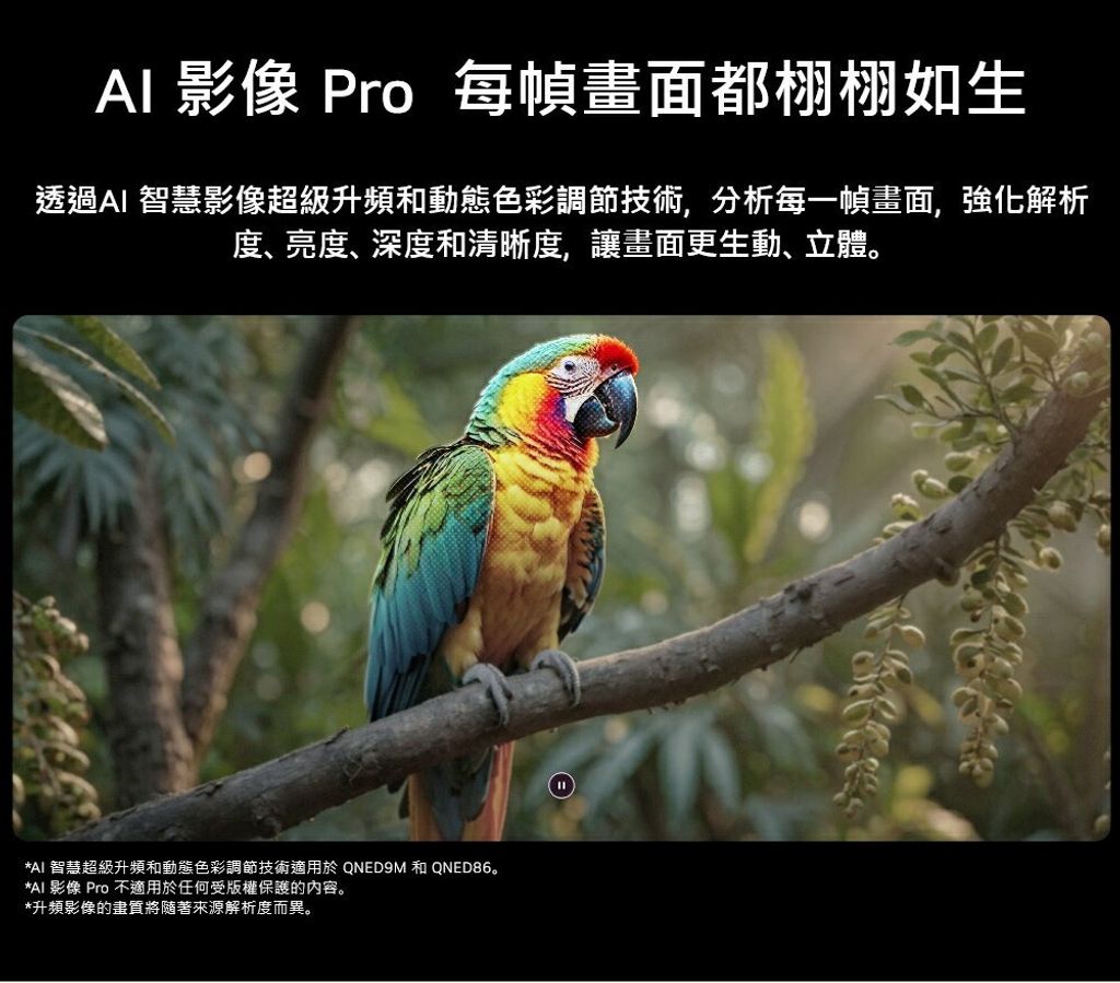 imgi_29_46ca98b1ef0d67856c3805