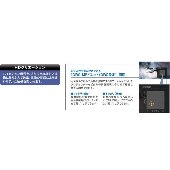 保固30天)SONY BDZ-X90旗艦藍光錄放影機 (500G HD/2BS TUNER/ 2