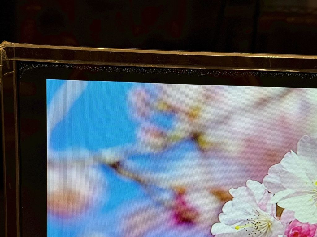 LINE_ALBUM_20251124 _1_251124_9