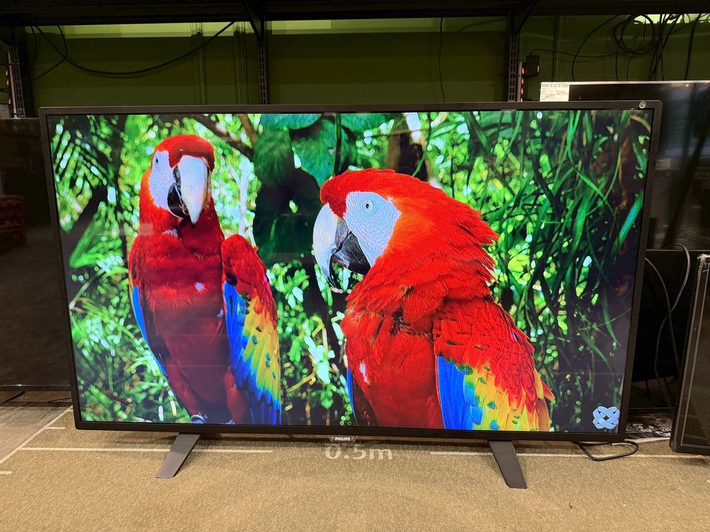 LINE_ALBUM_20251124_251124_1