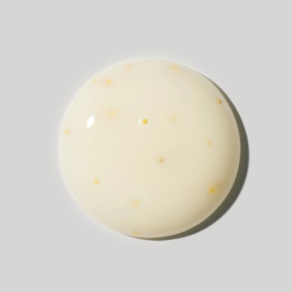 image_C4B547DB-A09F-494B-BC28-10C620F53643_1772518213