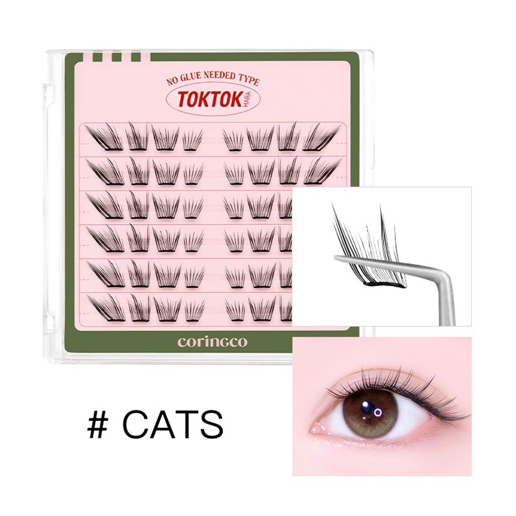 image_F3A2F133-B8EE-4CC1-9513-47655F182A9E_1772531863