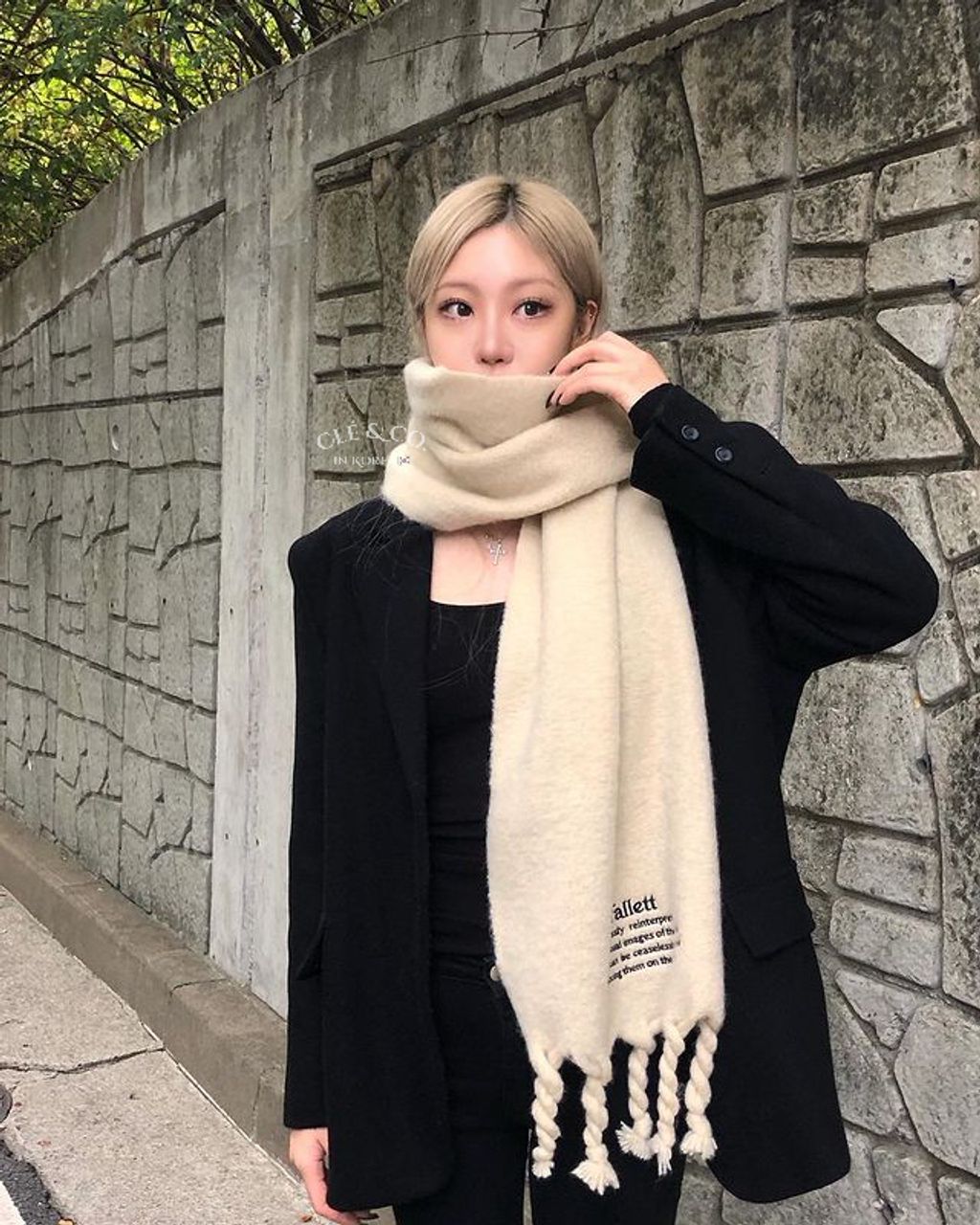 IMG_0006-1731236595796