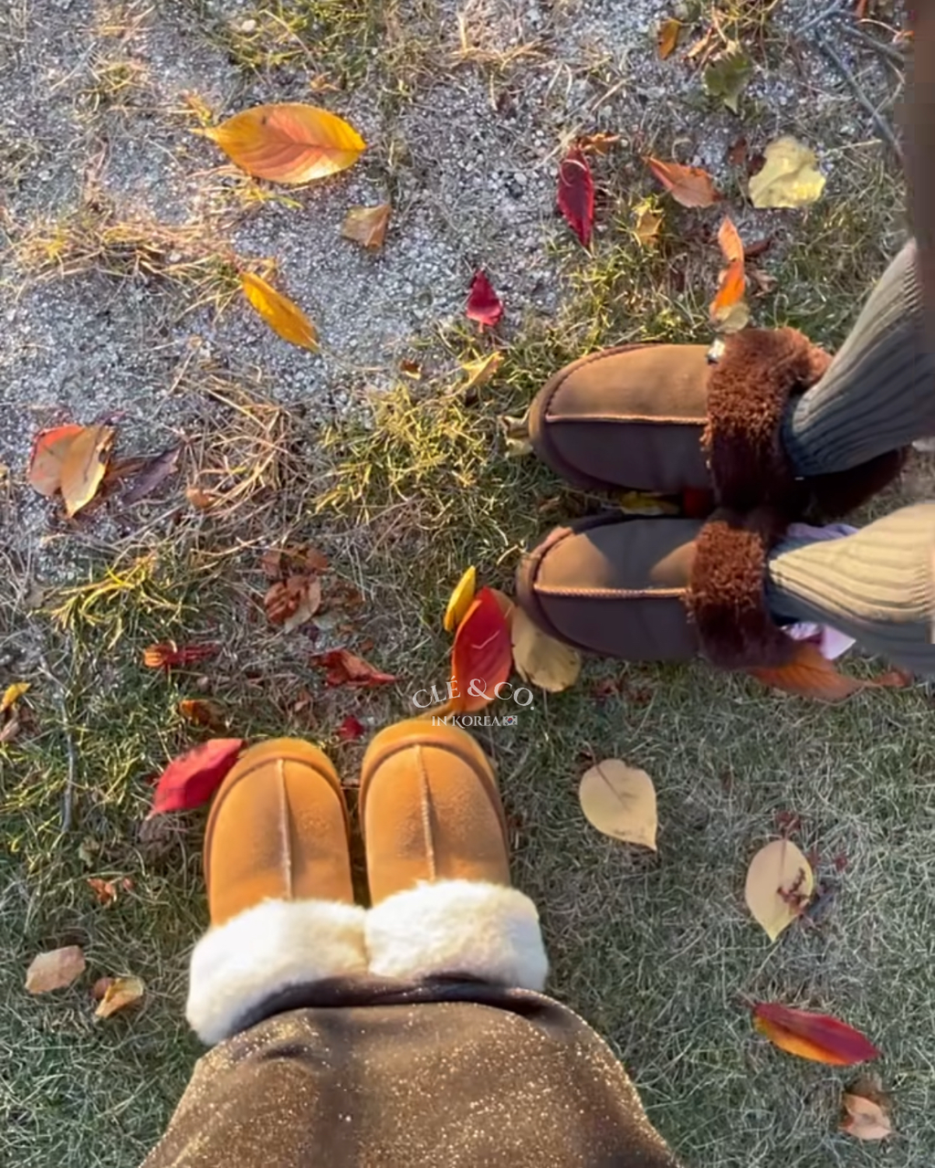 IMG_0685-1731327869412