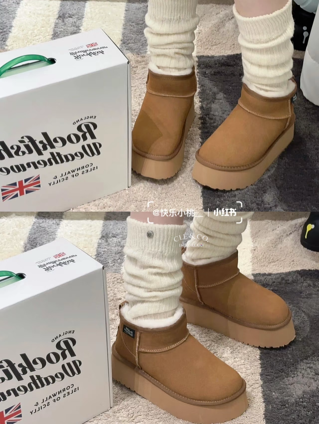 IMG_0700-1731328592483