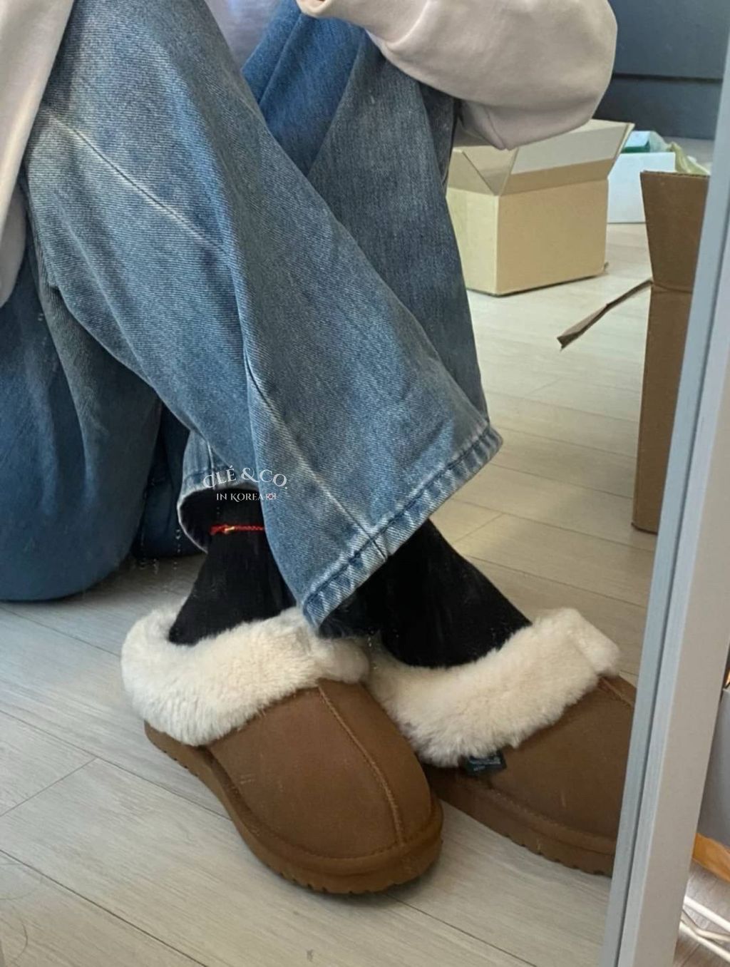 IMG_0662-1731335574289