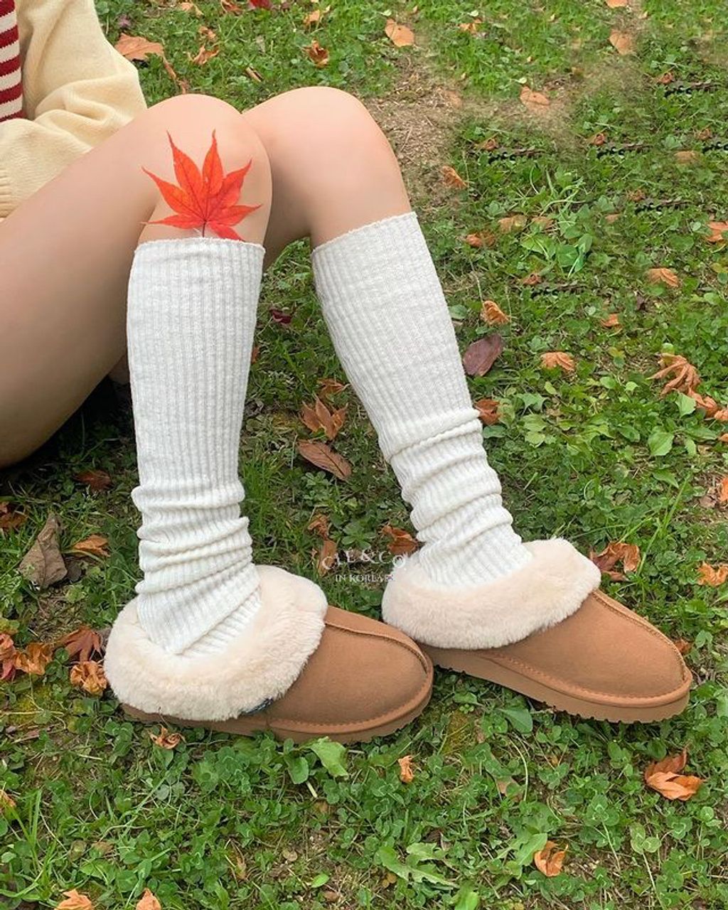 IMG_0635-1731335574296