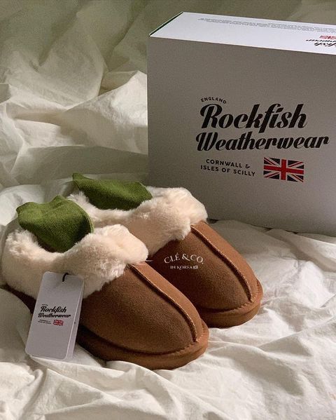 IMG_0622-1731335574316