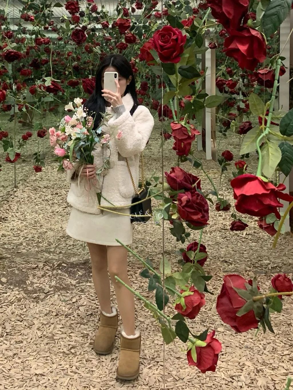 IMG_0652-1731336379602