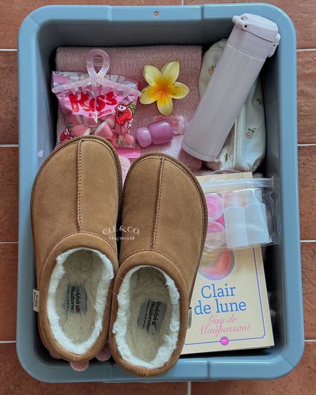 IMG_0642-1731336379620