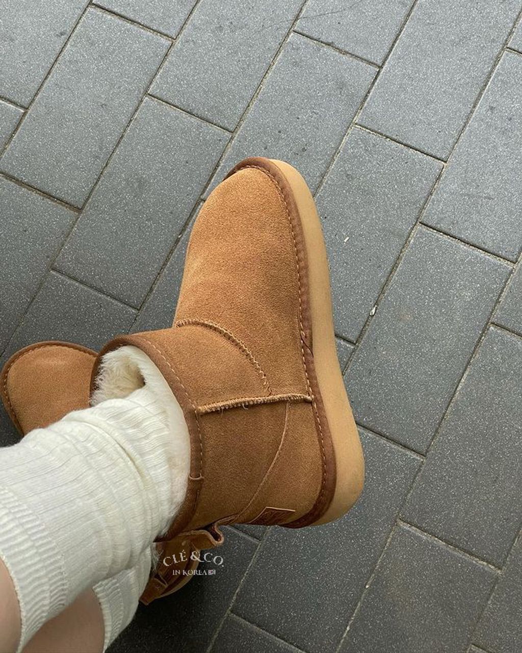 IMG_0626-1731336379626