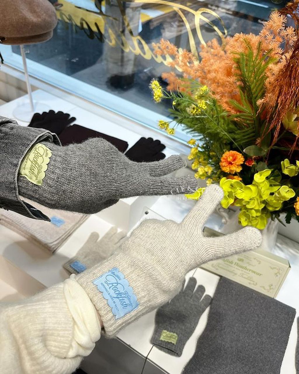 IMG_0926-1731350374515