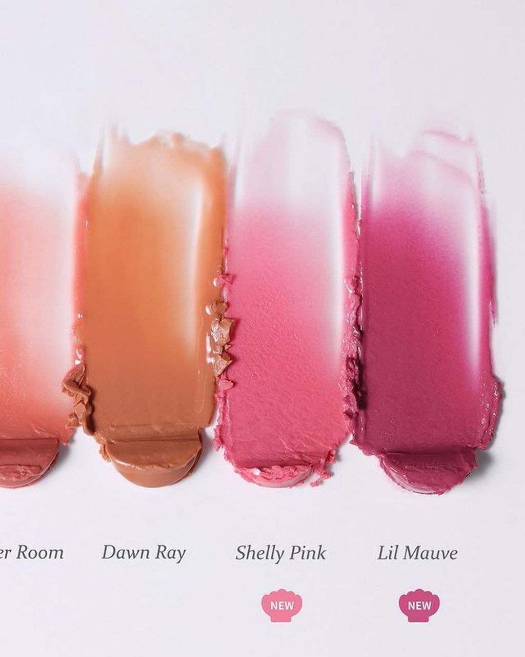 IMG_1981-1731731804016