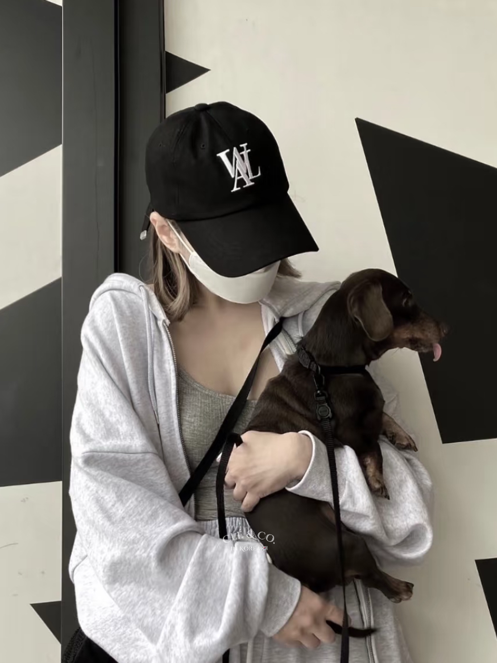 IMG_4353-1733201364416