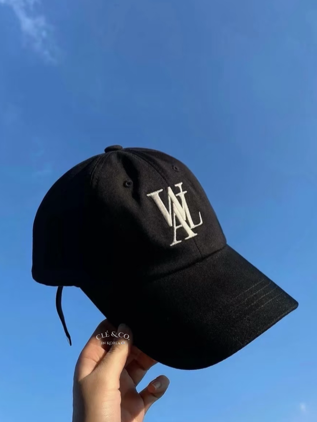 IMG_4355-1733201364448