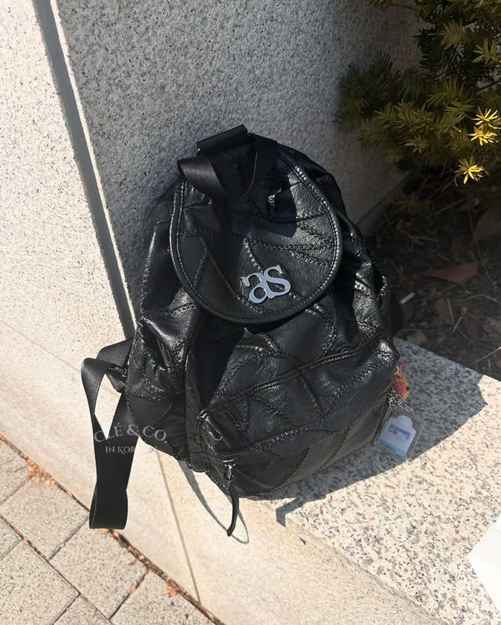 image_26CFFADC-BB29-494A-A182-86449CEFBD3F_1744731787