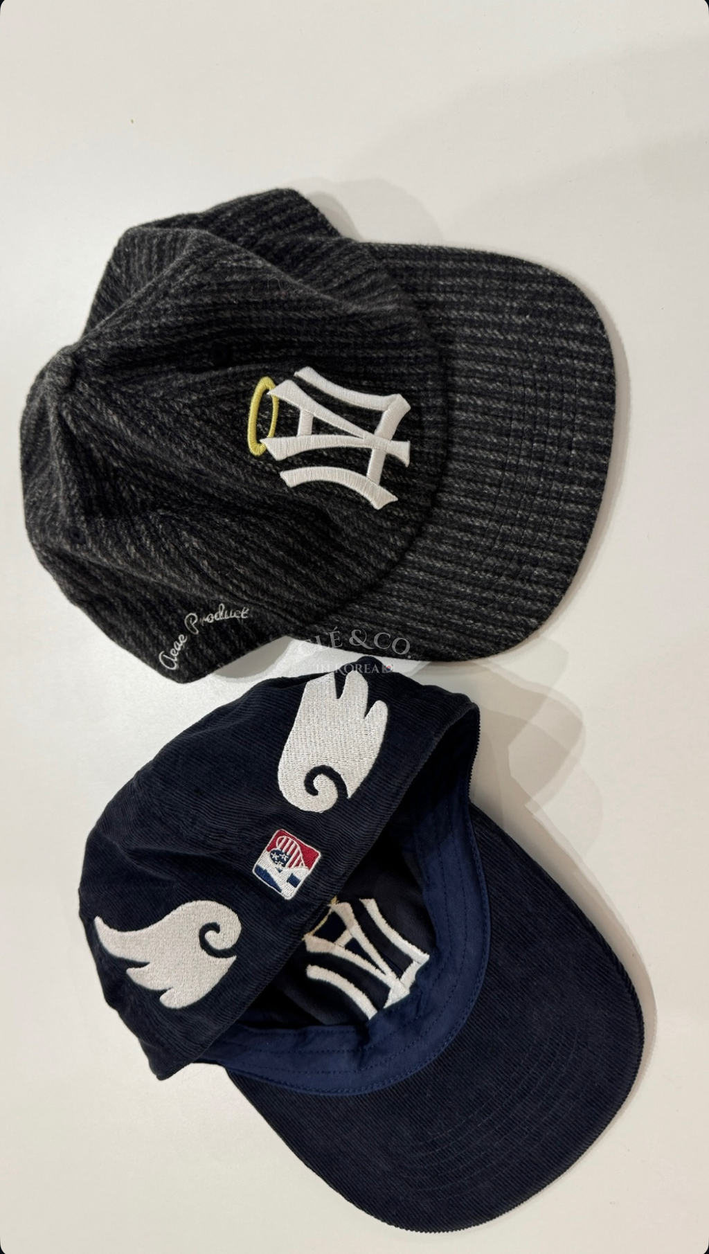 image_812D87A1-B6DC-44C1-A293-3E348D9E6C68_1759184254