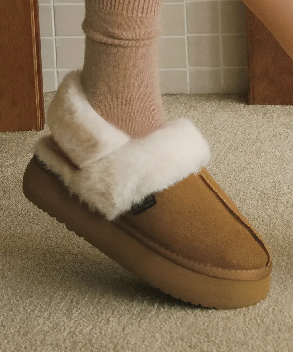 image_3BFB9D0E-1A98-4481-8F6C-039FB7A2F252_1764133431