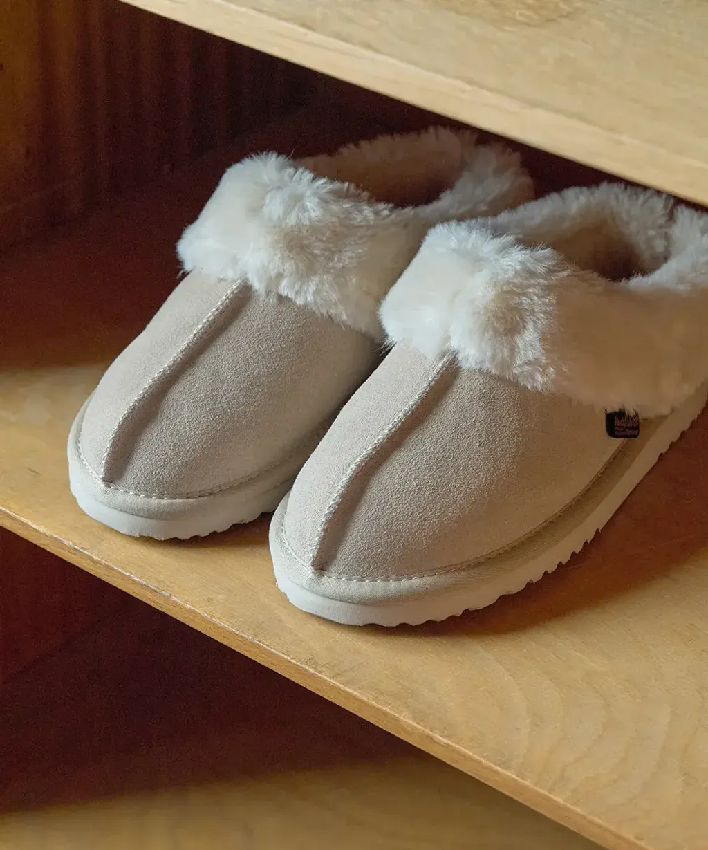 image_58279975-0694-40EC-A866-51387B974BF3_1764133916