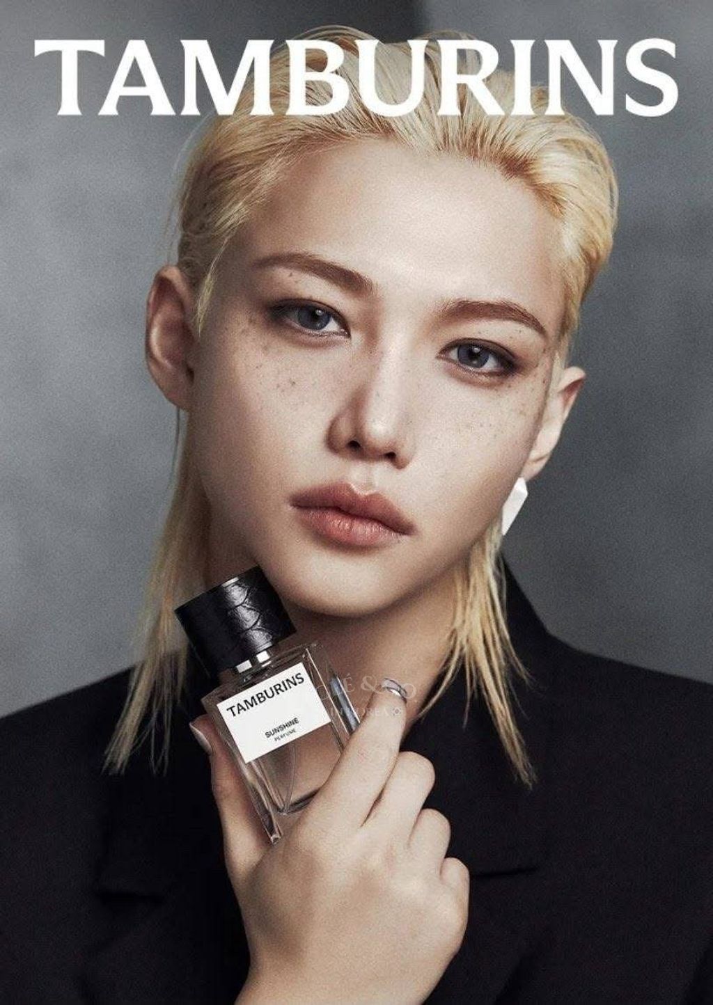 image_06229F47-9612-4671-9BC7-A905B97D4608_1765031778