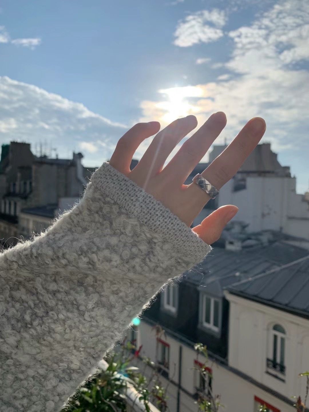 IMG_7284-1730109468735