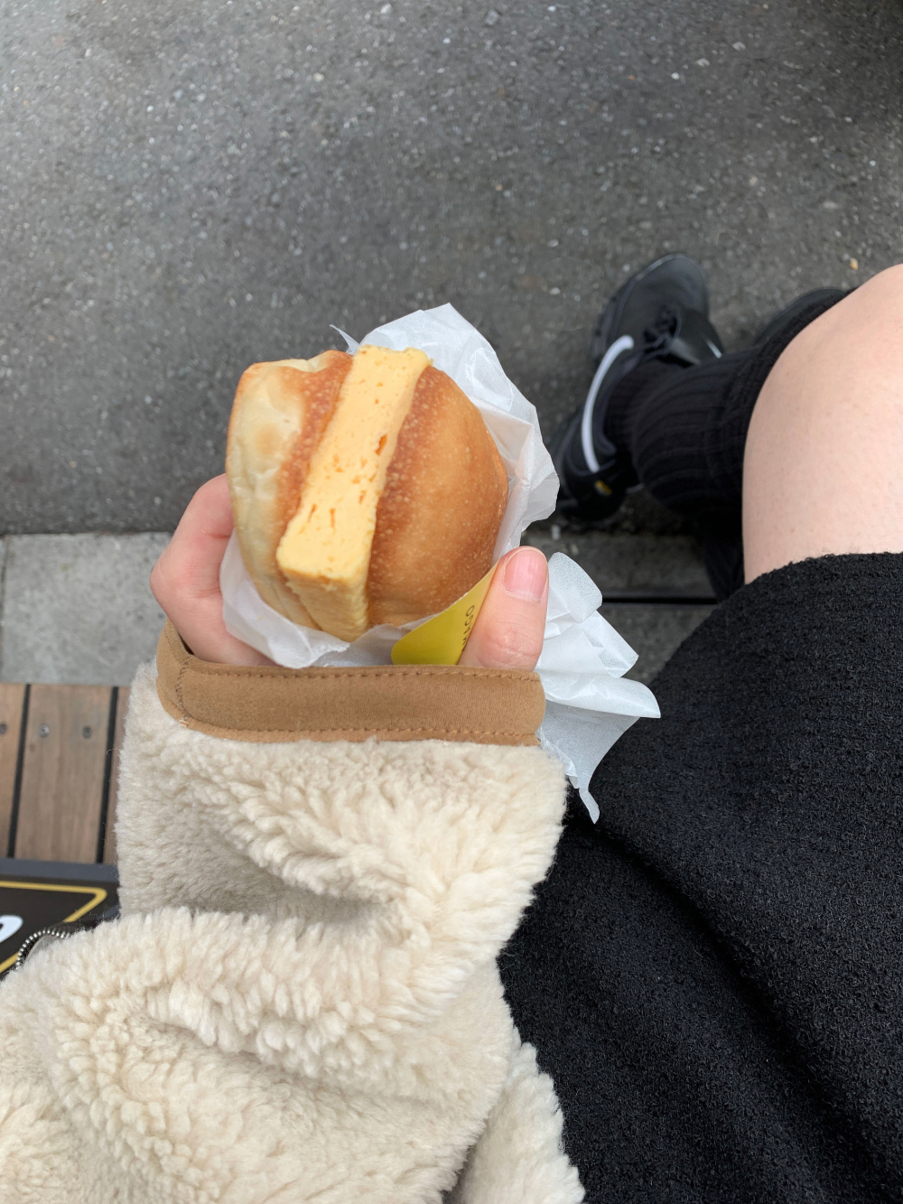 IMG_0531-1730202114519